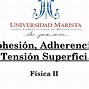 Image result for adherencia