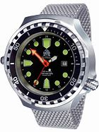 Image result for Sharp Divers Watch