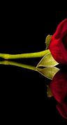 Image result for Black and Red Rose Drawing
