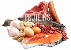 Image result for Best Protein Sources