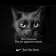 Image result for Very Funny Animals Sarcastic Memes