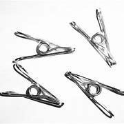 Image result for Stainless Steel Clothes Pegs
