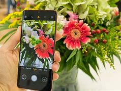 Image result for Pic in Mobile