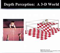 Image result for What Does No Depth Perception Look Like