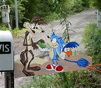 Image result for Sonic Road Runner Coyote