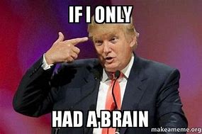 Image result for Funny Meme If I Only Had a Brain