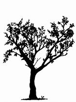 Image result for Black and White Tree Prints