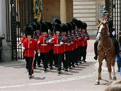 Image result for guards