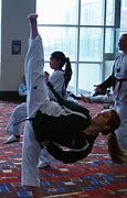 Image result for Kempo Martial Arts