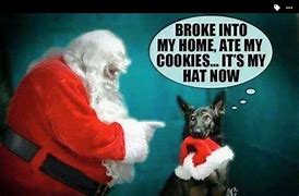 Image result for German Shepherd Dog Memes