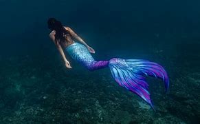 Image result for Do Mermaids Exist