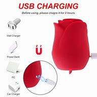 Image result for How to Charge Rose Toy without Charger