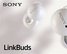 Image result for Sony Open Back Earbuds