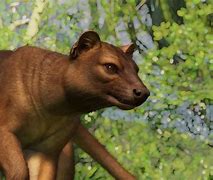 Image result for Planet Zoo Zoopedia