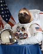 Image result for Space Sloth