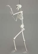Image result for Posable Skeleton Prop