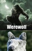 Image result for Werewolf Memes Funny