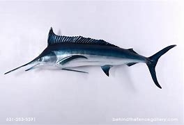 Image result for Marlin Wall Statue