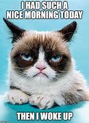 Image result for Grumpy Good Morning
