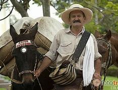 Image result for ahoarriero