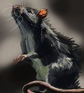 Image result for Cute Rat Fan Art