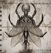 Image result for Insect Sketch