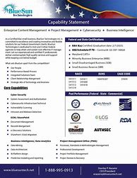 Image result for Consulting Capability Statement