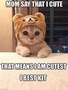 Image result for Adorable Cat Memes