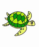 Image result for Hawksbill Sea Turtle Drawing