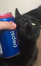 Image result for Pepsi Cat