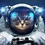 Image result for Galaxy Cat Wallpaper for Kindle