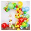 Image result for Rainbow Balloon Garland Kit