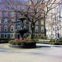 Image result for Bronx NY Pictures