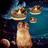 Image result for Kawaii Galaxy Donut Cat