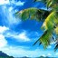 Image result for Beach Scene Wallpaper iPhone