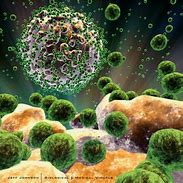 Image result for HIV infection