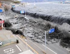 Image result for Tohoku Earthquake Tsunami Wave