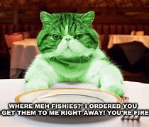 Image result for Cat Tried to Get Me Fired Boss Meme