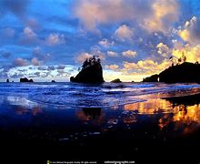 Image result for Apple TV Screensaver National Geographic