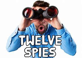 Image result for 12 Spies