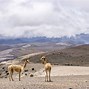 Image result for Atacama Desert