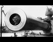 Image result for Funny Cat Memes WW2