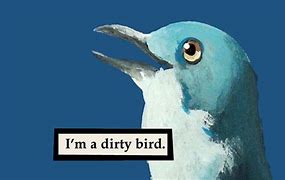Image result for Dirty Bird Meme