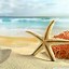 Image result for Cute Summer Beach