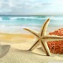 Image result for Google Free Beach Wallpaper