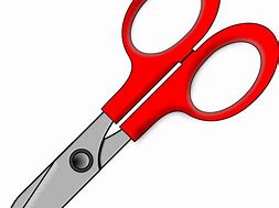 Image result for Small Hand Scissors