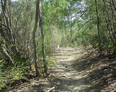 Image result for Hiking in Arizona in February