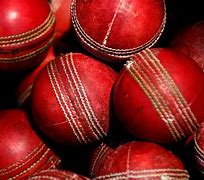 Image result for Rainbow Cricket Animal