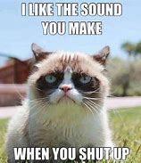 Image result for Grumpy Cat On a Phone