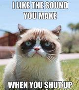Image result for What Doesn't Kill You Grumpy Cat Memes